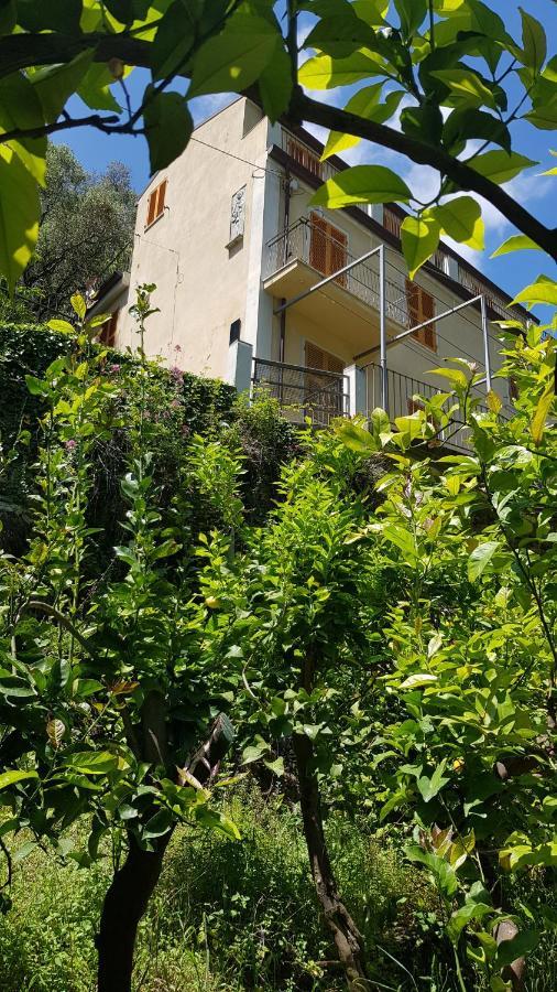 La Casa Dei Limoni Hotel Monterosso al Mare Exterior photo